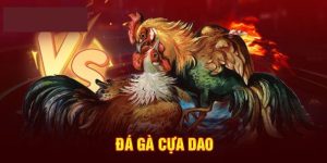 Cựa dao đá gà tại ww88