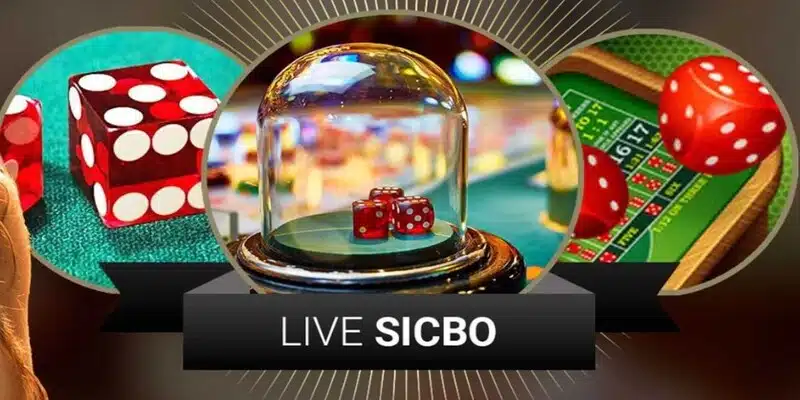 Bí Kíp Chơi Sicbo Online và những điều cần biết