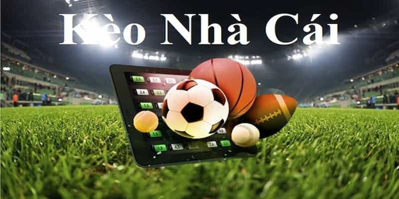 Định nghĩa tỷ lệ kèo nhà cái