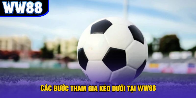 Các Bước Tham Gia Kèo Dưới Tại WW88