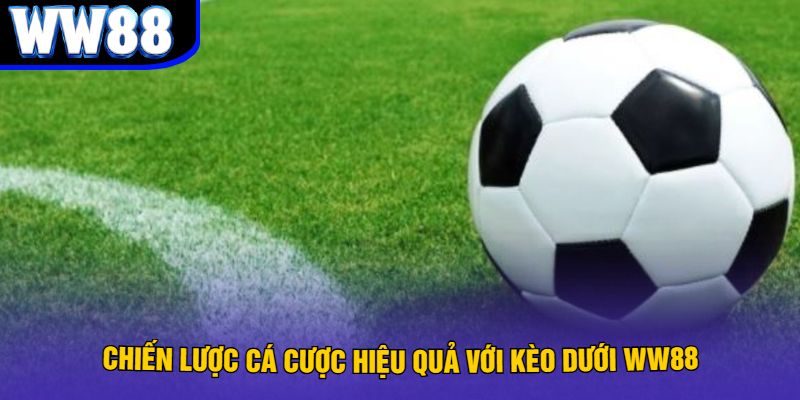 Chiến lược cá cược hiệu quả với kèo dưới WW88