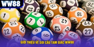 Avt soi cầu tam giác tại ww88
