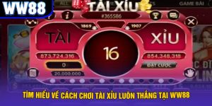 Avt cách chơi tài xỉu luôn thắng