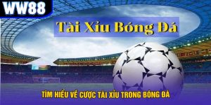 Avt cách cược tài xỉu trong bóng đá