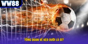 Avt kèo dưới là gì tại ww88